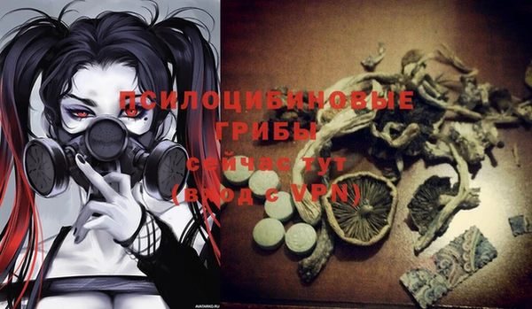 шишки Лабытнанги