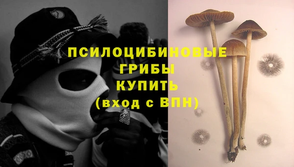 мяу мяу мука Алексин