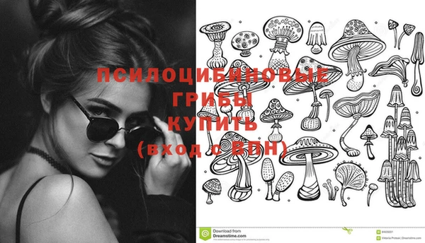 амф Абдулино