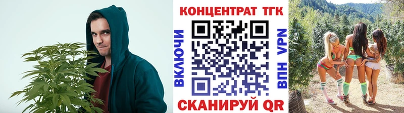 наркотики  ссылка на мегу онион  darknet какой сайт  Ковров  Дистиллят ТГК гашишное масло 